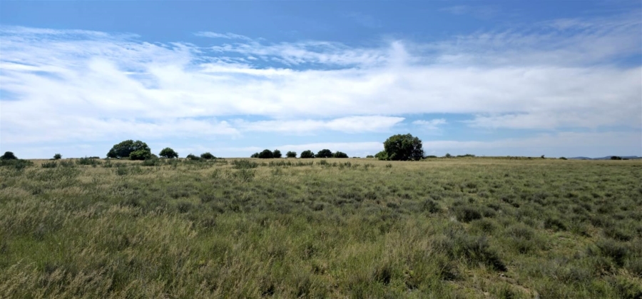 Commercial Property for Sale in Mangaung Free State